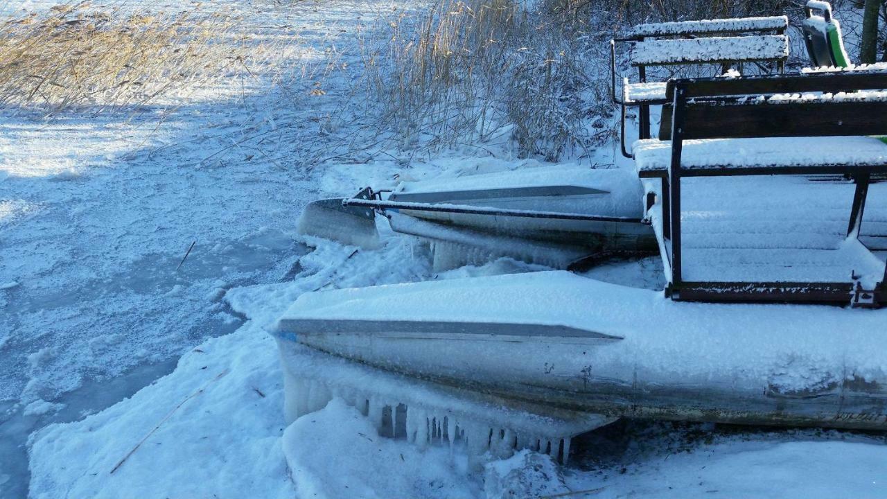Agroturystyka Ogrodniki سايني المظهر الخارجي الصورة